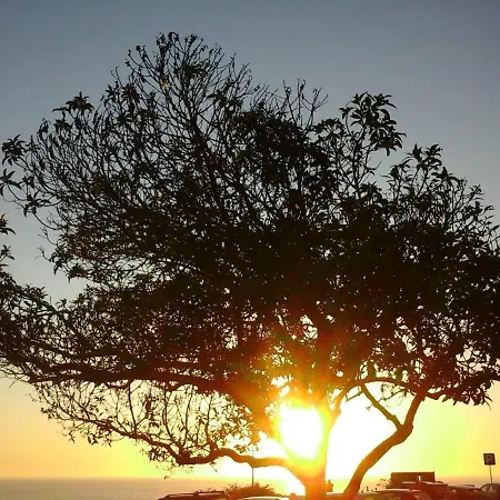 Apartment Maravilha Em - Luxury Holidays *